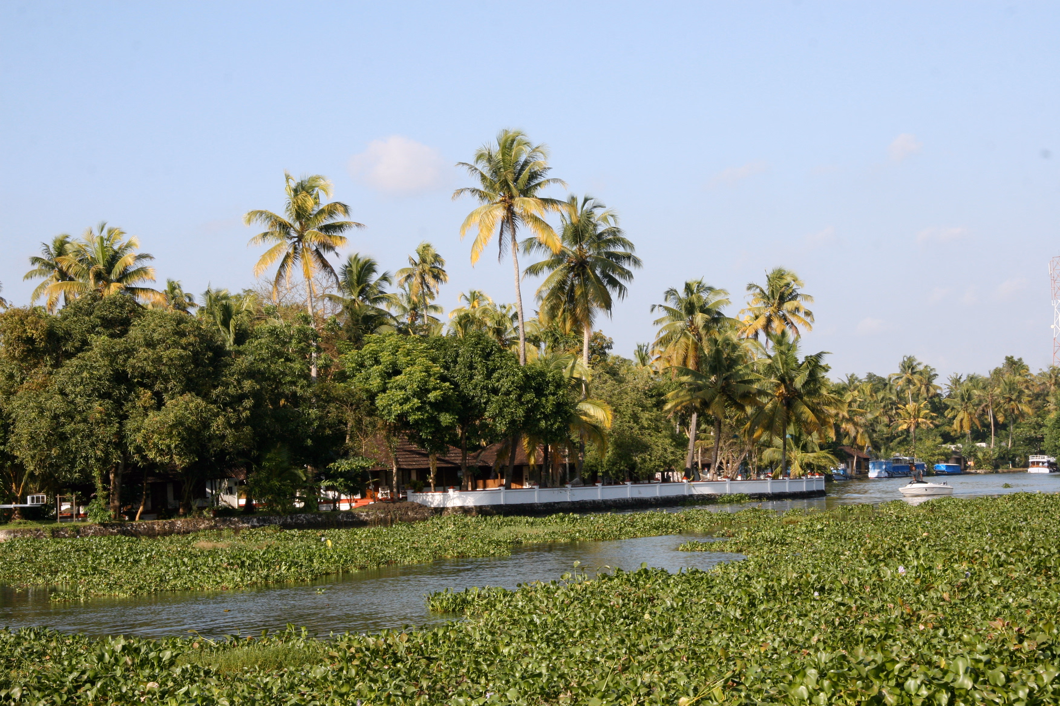 Backwaters Kerala — Sfeerimpressie India