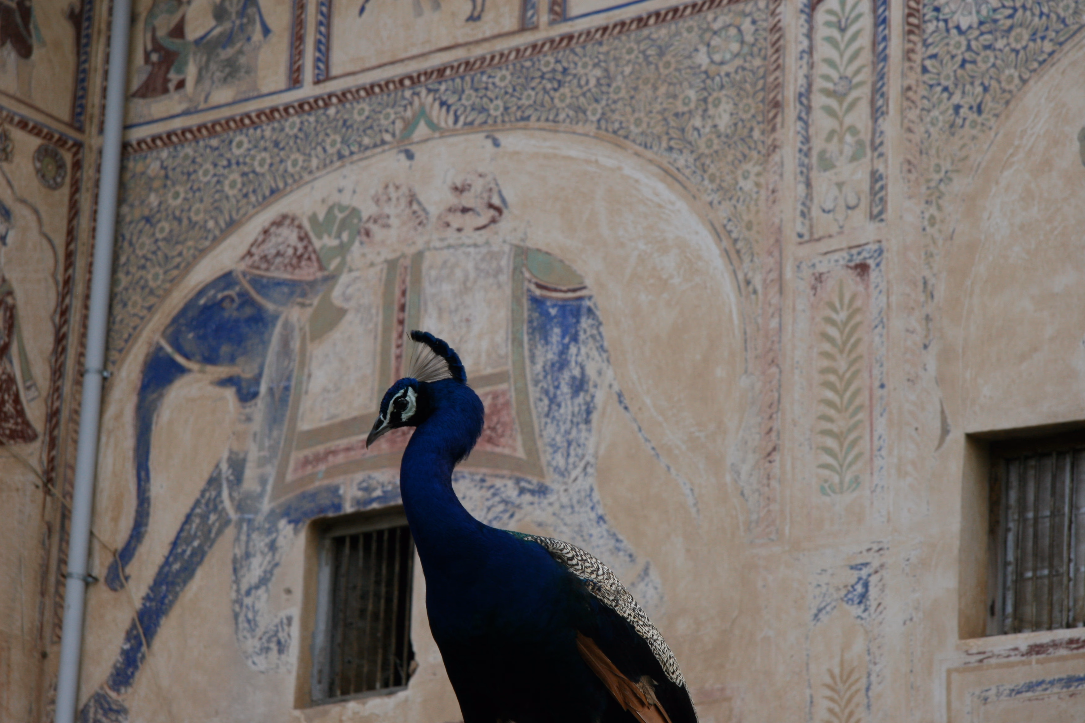 Haveli In Rajasthan — Sfeerimpressie India