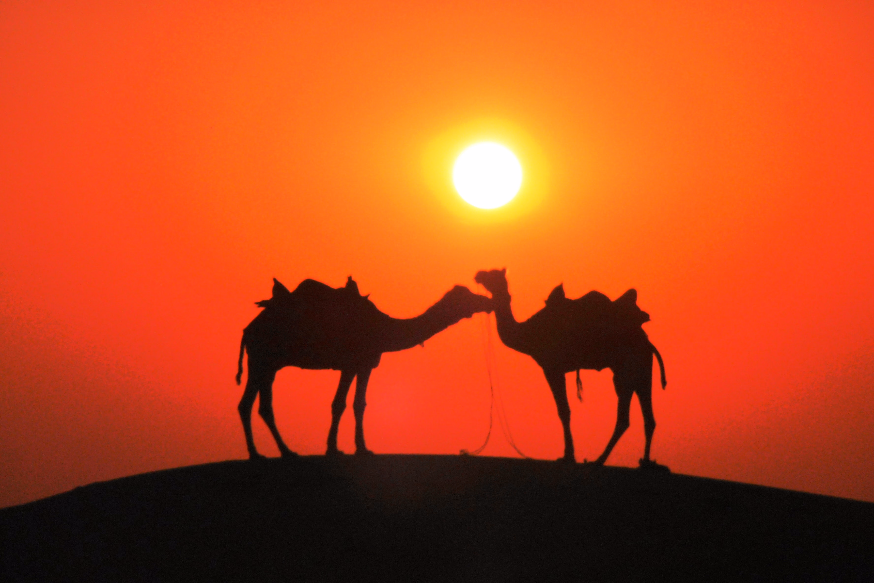 Jaisalmer Sam Dunes — Sfeerimpressie India