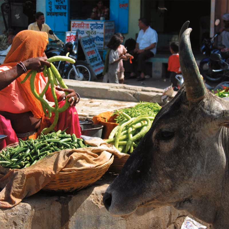 Markt — Sfeerimpressie India