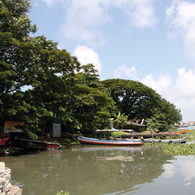 Backwaters — Sfeerimpressie India