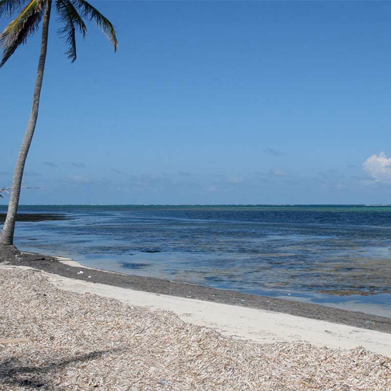 Beach — Sfeerimpressie India