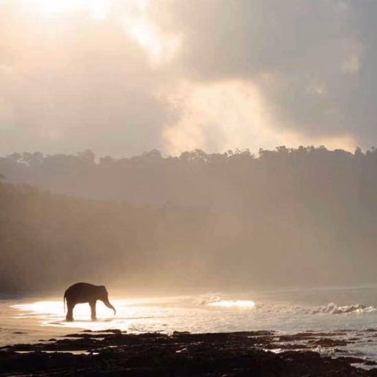 Portblair — Sfeerimpressie India