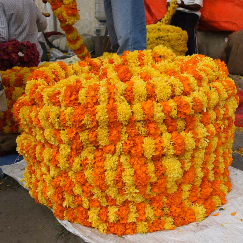 Rr17 — Sfeerimpressie India