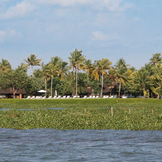 The South — Sfeerimpressie India