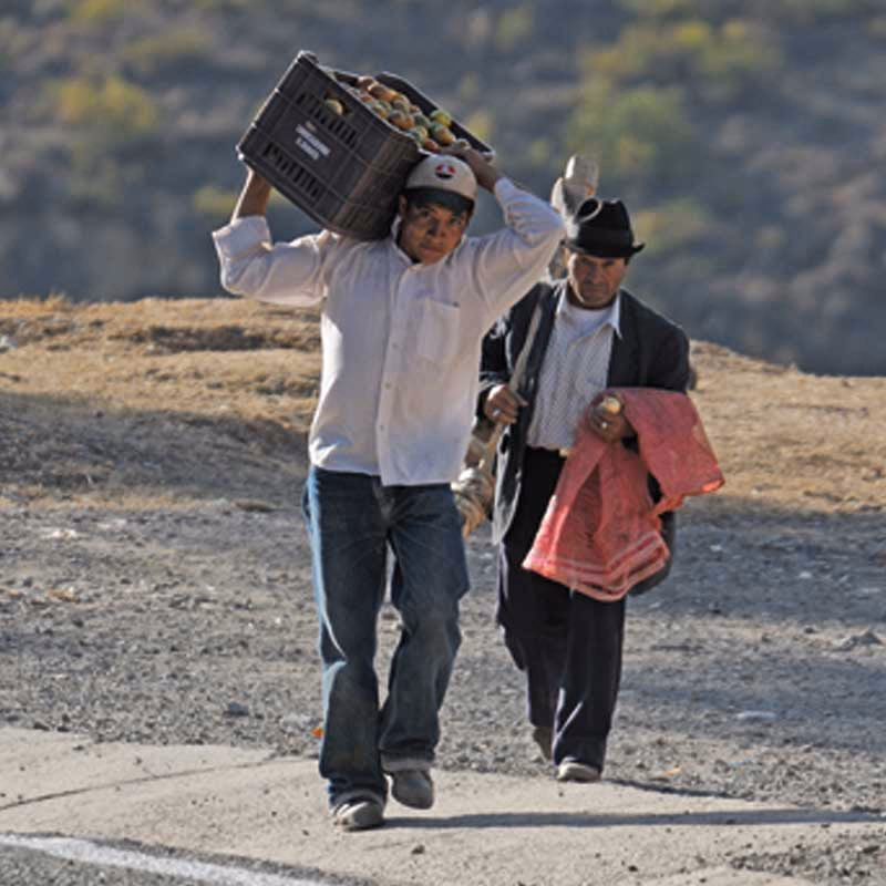 Colombia D0600132 — Sfeerimpressie Latijns-Amerika