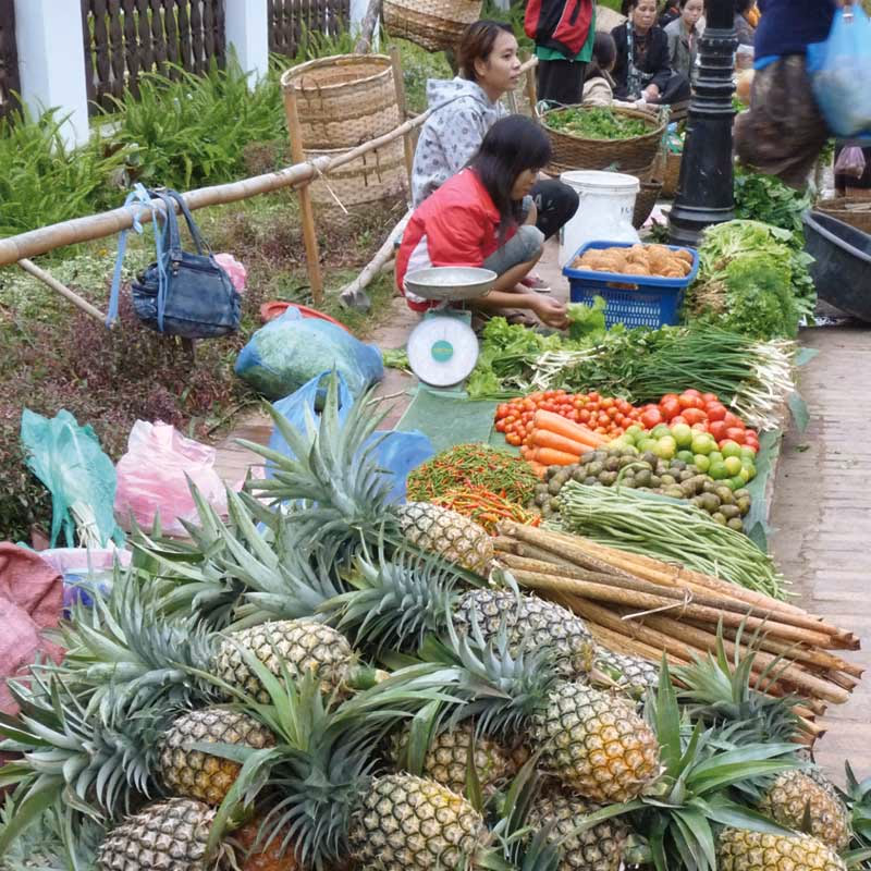 Laos Cambodja — Sfeerimpressie Zuidoost-Azië