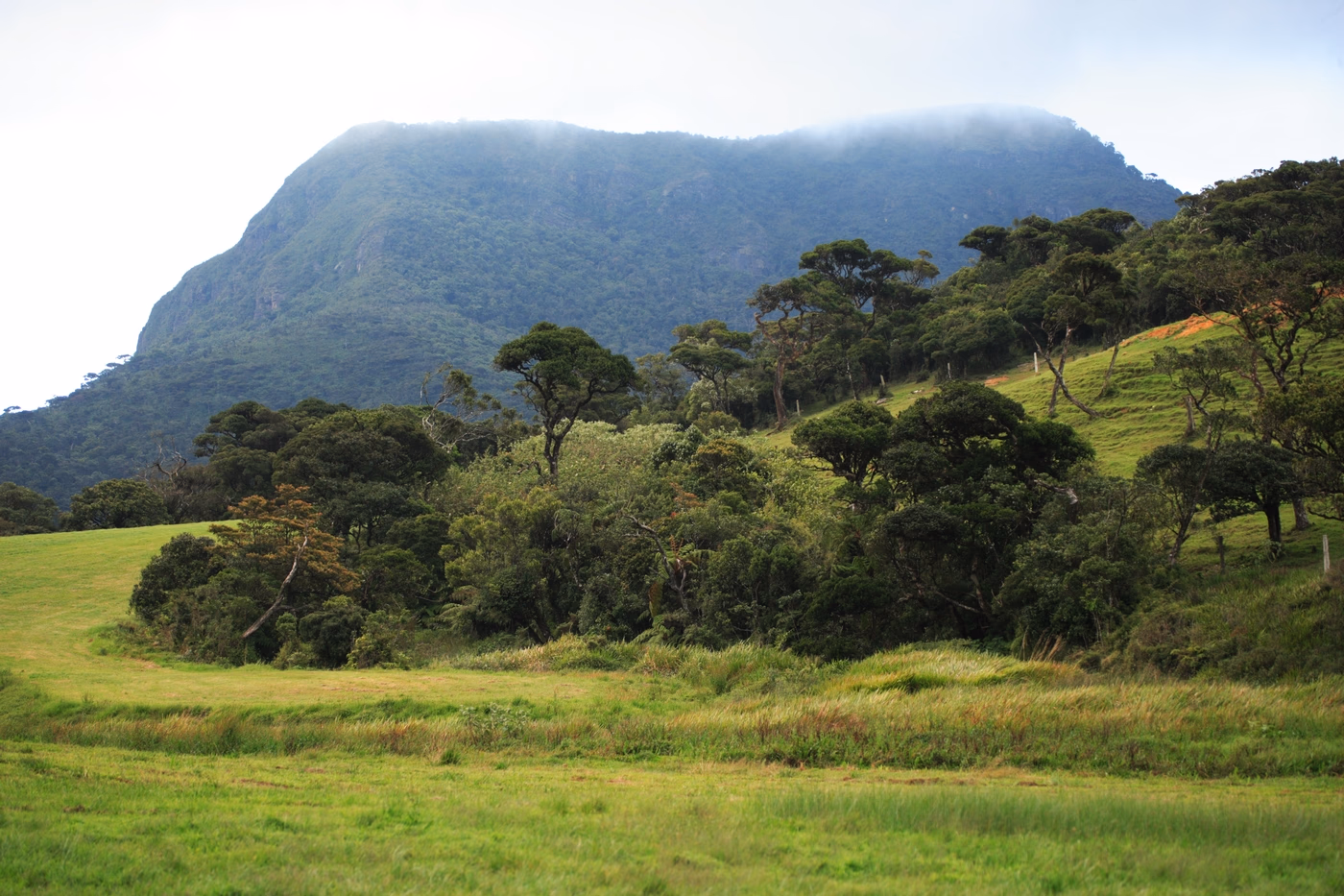 Horton Plains Ye0m0774 2009 06 15 C Gehan De Silva Wijeyeratne — Sri Lanka Horton Plains Ye0m0774 2009 06 15 C Gehan De Silva Wijeyeratne — Sri Lanka