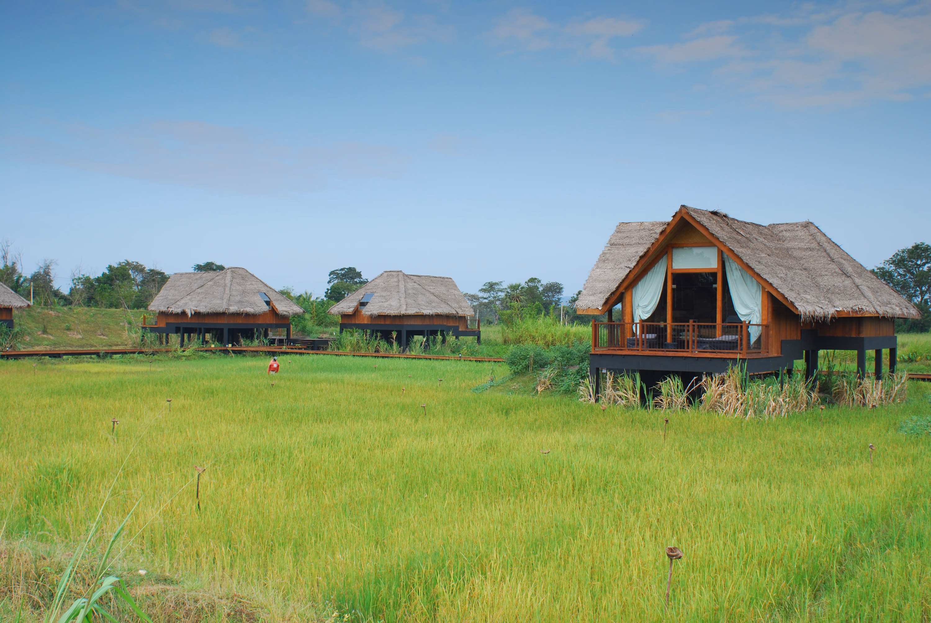 Vil Uyana Dwellings Over Paddy — Sri Lanka Vil Uyana Dwellings Over Paddy — Sri Lanka
