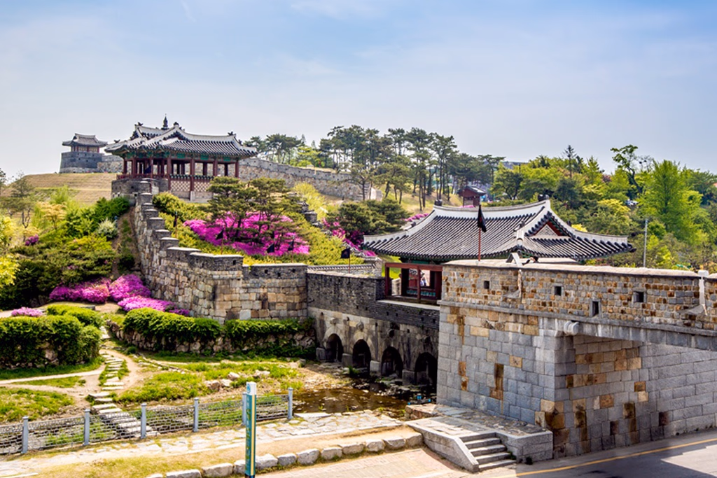 Bridge Forest — Zuid-Korea Bridge Forest — Zuid-Korea