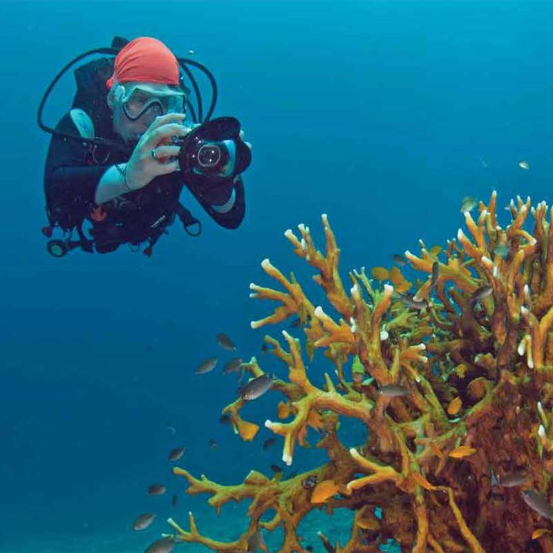 Andaman Eilanden